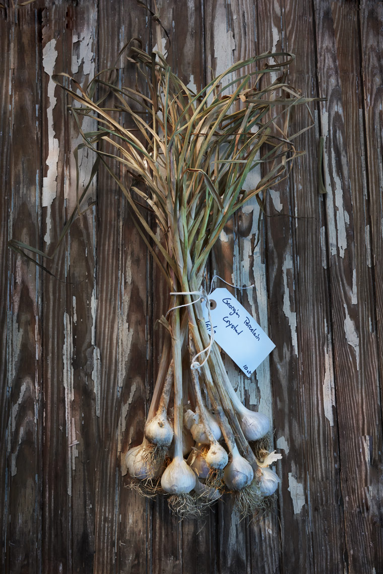 Garlic on Wood