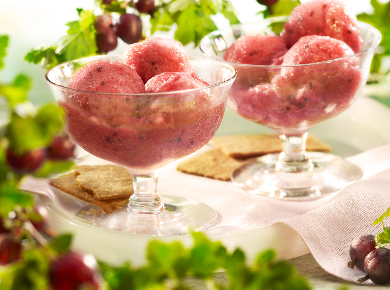 Gooseberry Sorbet frozen dessert